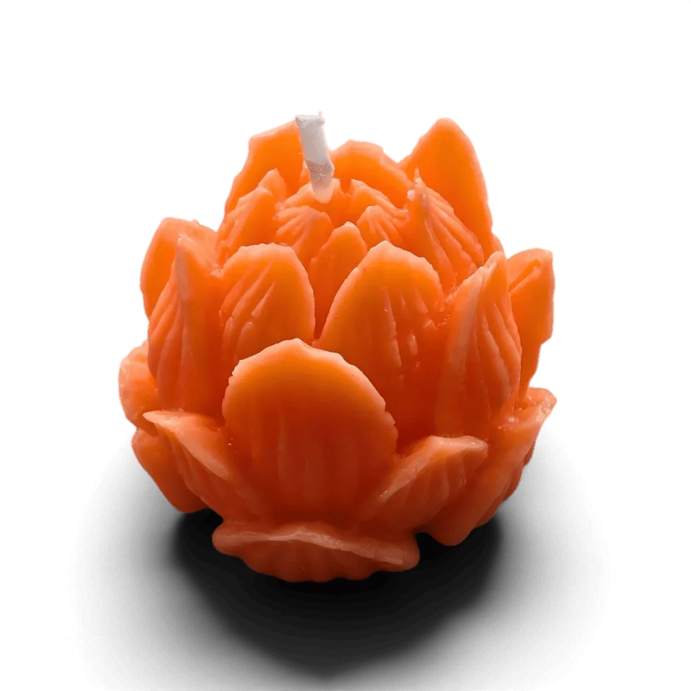 Coral Lotus candle