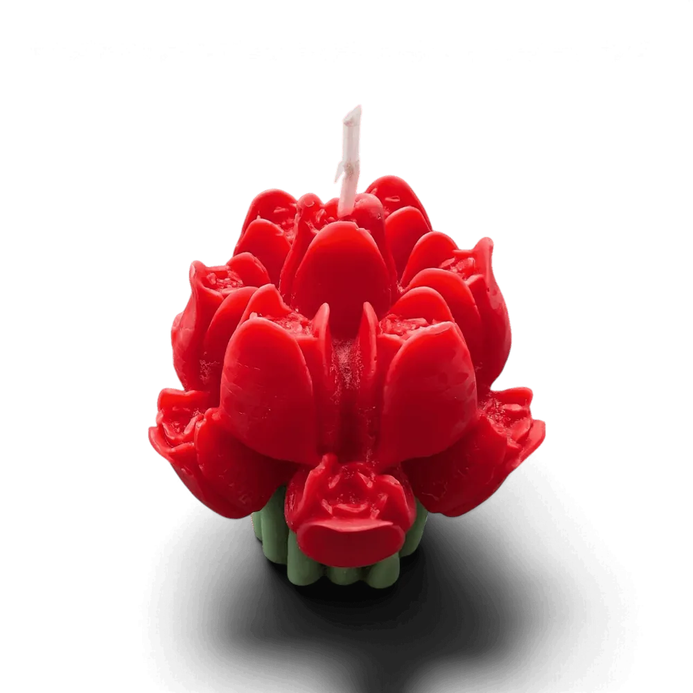 Soft Tulip candle